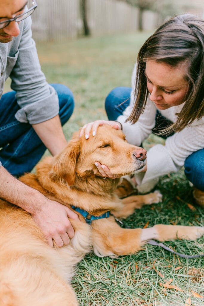 Richmond pet photography memorial session with a family and their golden retriever enjoying their final days together.