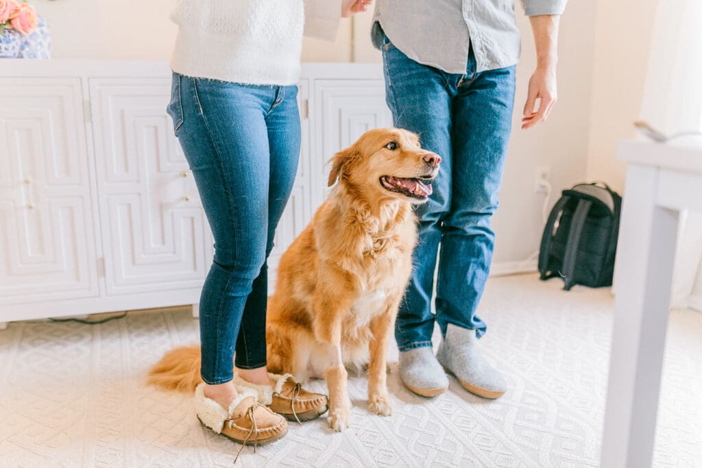 Richmond pet photography memorial session with a family and their golden retriever enjoying their final days together.