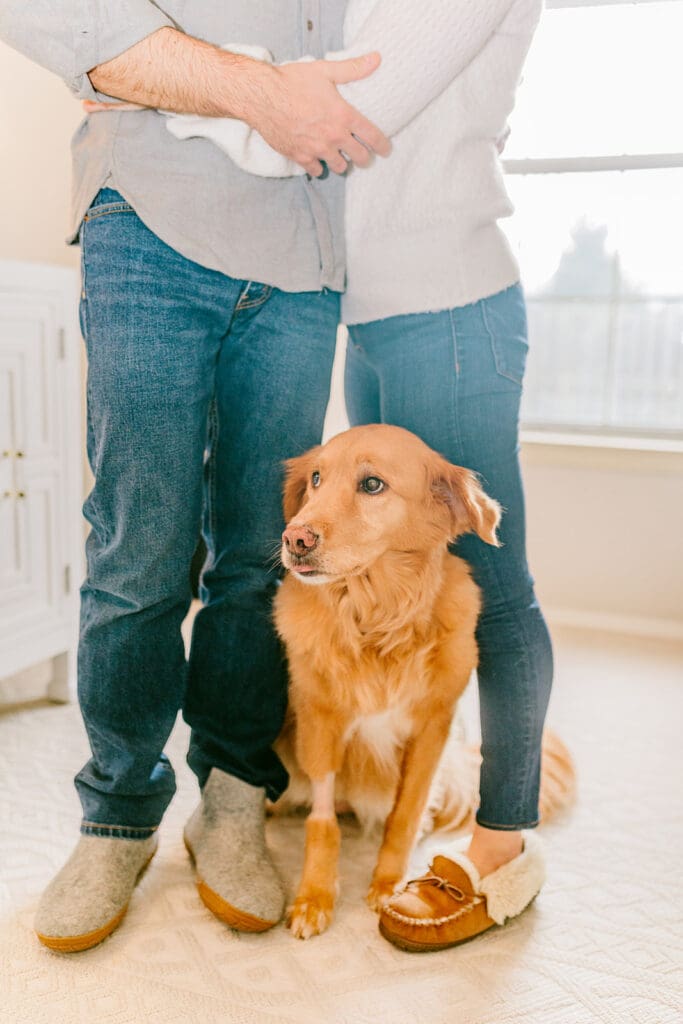 Richmond pet photography memorial session with a family and their golden retriever enjoying their final days together.