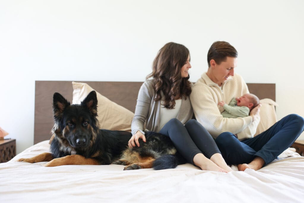 Richmond newborn photographer session featuring baby Cooper and his family in their sunlit Rockville home with their dog Riley