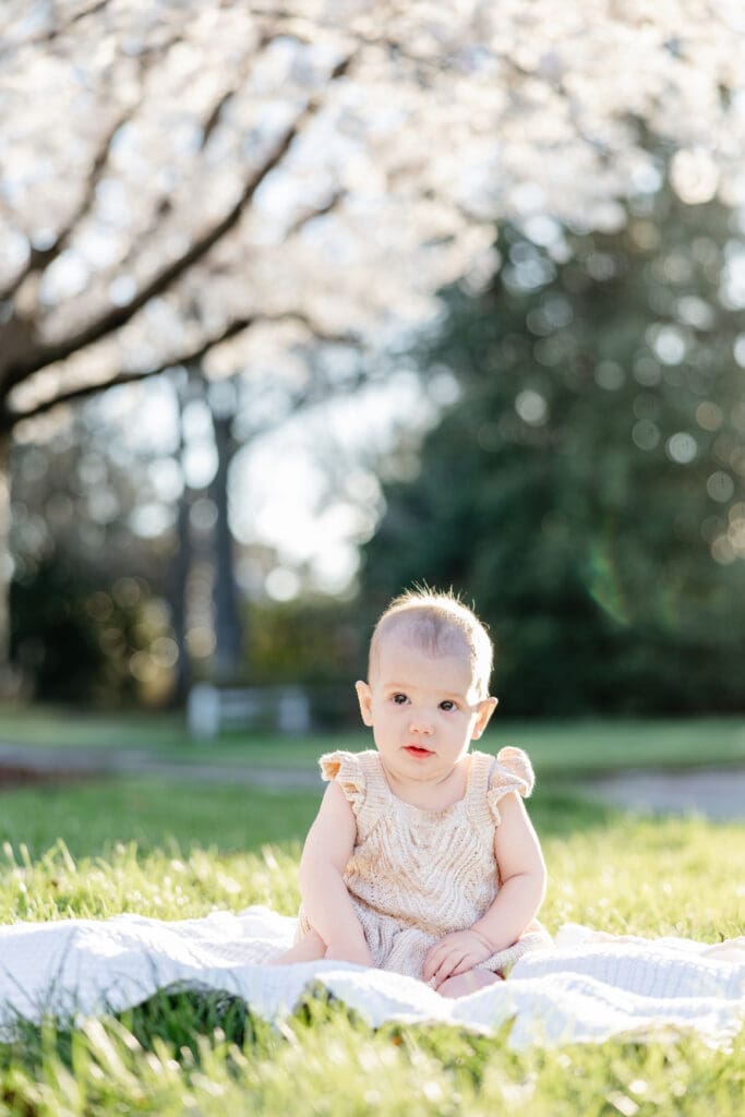 Family poses with their baby girl during their family photography session in the cherry blossoms in Richmond.